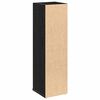 vidaXL Bathroom Cabinet with Roll Holder Black 20.5x22x72 cm