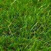 Product Thumbnail Image 2 of 3