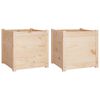 vidaXL Garden Planters 2 pcs 50x50x50 cm Solid Pinewood