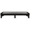 vidaXL Pull-out Day Bed without Mattress Black 2x(80x200) cm