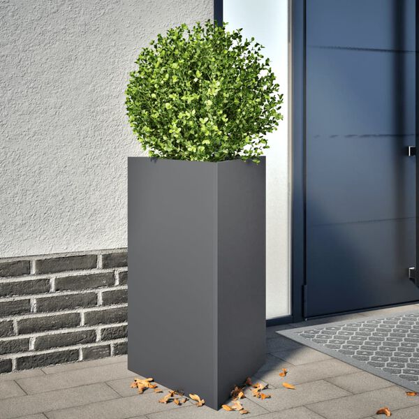 Showing Product Image 2 of 12