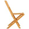 vidaXL Folding Garden Chairs 4 pcs 47x62x90 cm Solid Wood Teak
