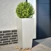 Product Thumbnail Image 2 of 12
