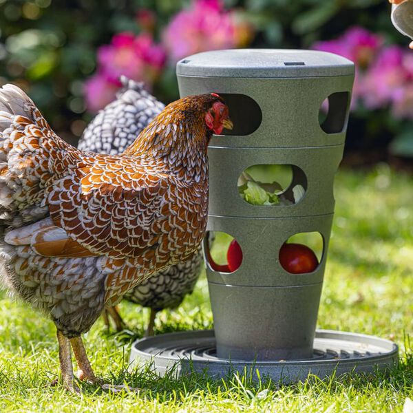 Beeztees Chicken Feeding Tower 30x30x36 cm Grey
