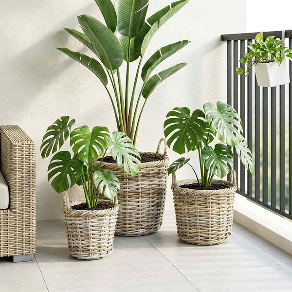 Showing Product Image 3 of 10