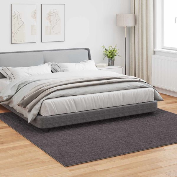 vidaXL Area Rugs Square Anthracite 240 x 240 cm