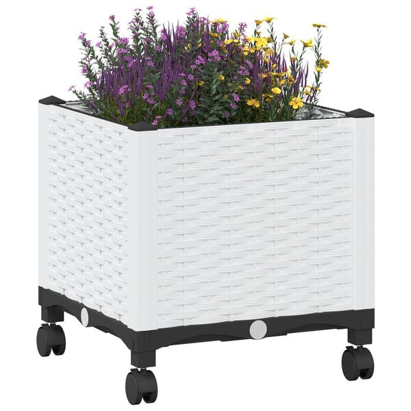 Showing Product Image 3 of 8