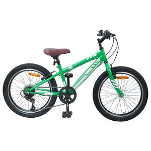 vidaXL Mountain Bike 20'' 6-Speed for 5-8 Years Old Green