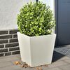 Product Thumbnail Image 2 of 12