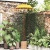 Product Thumbnail Image 2 of 8