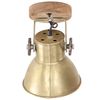 vidaXL Industrial Wall/Ceiling Lamps 2 pcs Brass 20x25 cm E27