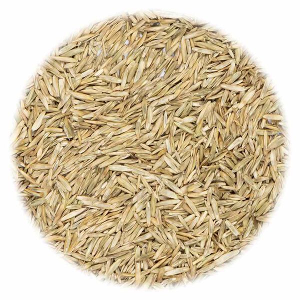 vidaXL Gazon Grass Seed 15 kg