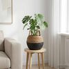 Product Thumbnail Image 2 of 6
