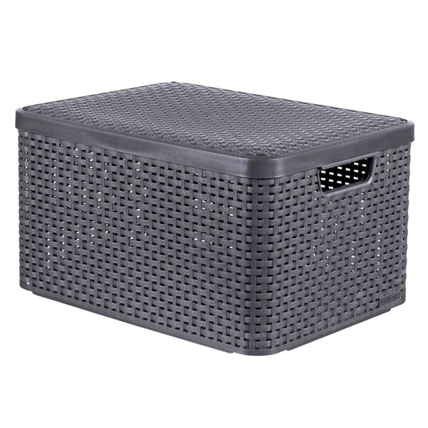 Curver Storage Box with Lid Style L 30L Metallic Silver