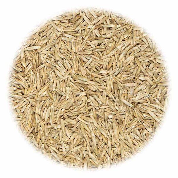 vidaXL Grass Seed for Sports and Play 20 kg