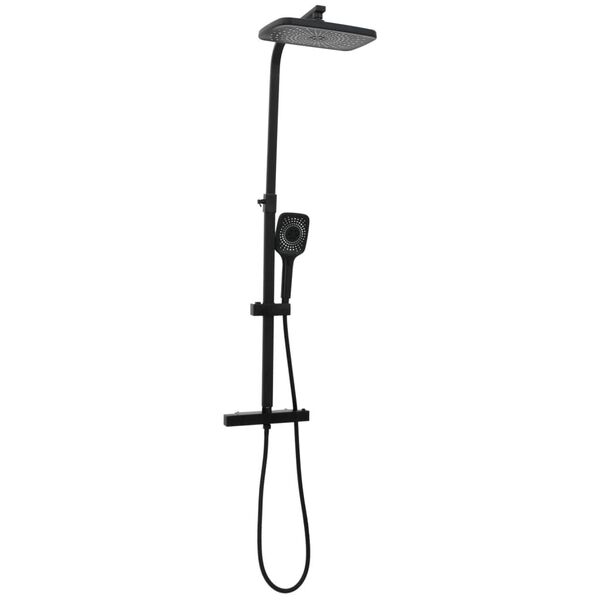 vidaXL Dual Head Shower Set with Mixer and Hose Black Brass