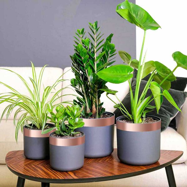 vidaXL Copper Tape Copper 2000 x 5 cm Copper