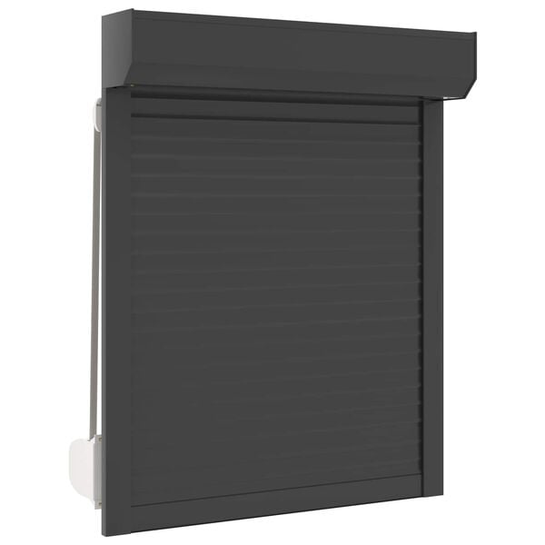 vidaXL Roller Shutter Manual Anthracite 70 x 100 cm