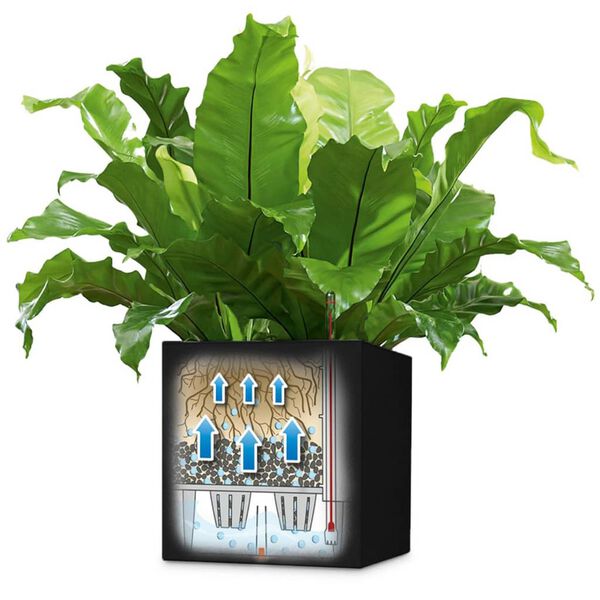 LECHUZA Planter Canto Color Square 40 ALL-IN-ONE Graphite 13722