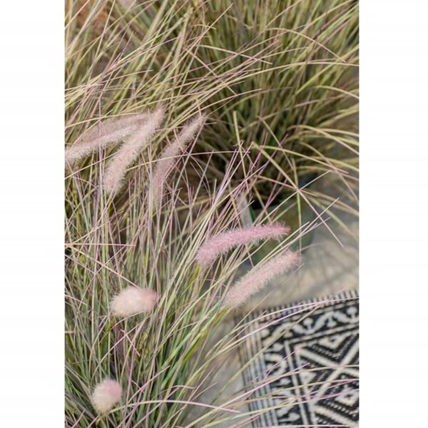 Emerald Artificial Pennisetum Grass 58 cm in Zinc Pot