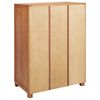 vidaXL Wardrobe with Storage with Door Brown Engineered wood