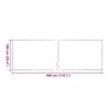 vidaXL Clear Tarpaulin with Eyelets 1x3 m PVC