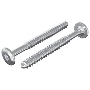 vidaXL Wood Screws 2 pcs Silver M6 x 70 mm Steel