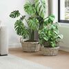 Product Thumbnail Image 2 of 10