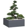 vidaXL Planter Anthracite 100x100x40 cm Steel