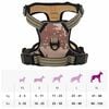 Product Thumbnail Image 14 of 14