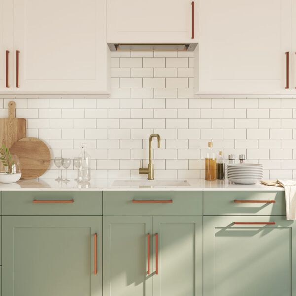 vidaXL Cabinet Handles 10 pcs Bronze 224 mm Stainless Steel