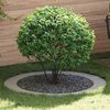 Product Thumbnail Image 2 of 9