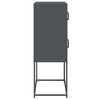 vidaXL Highboard Anthracite 68x39x107 cm Steel