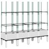 Product Thumbnail Image 4 of 7