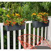 Product Thumbnail Image 12 of 13