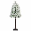 Product Thumbnail Image 3 of 7