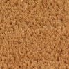 vidaXL Door Mat Natural 65x100 cm Tufted Coir