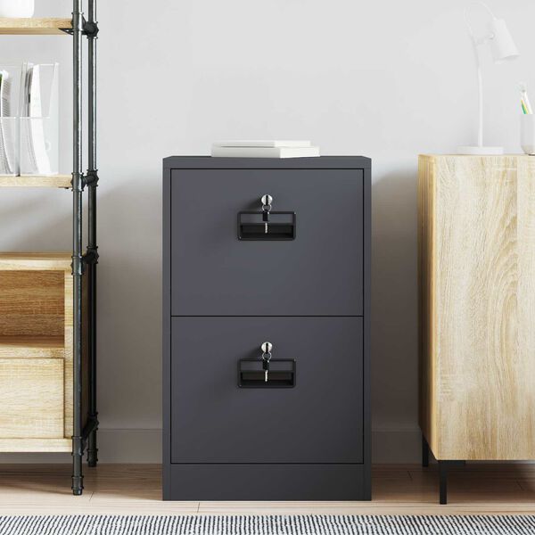 vidaXL File Cabinet Anthracite 45.5 x 42 x 74.5 cm Cold-Rolled Steel