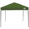 vidaXL Pop-up Canopy Tent Green 250 x 250 cm Fabric