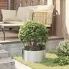 Product Thumbnail Image 4 of 10