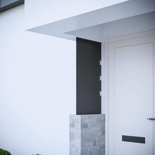 vidaXL Side Panel for Door Canopy Black 50x100 cm Tempered Glass