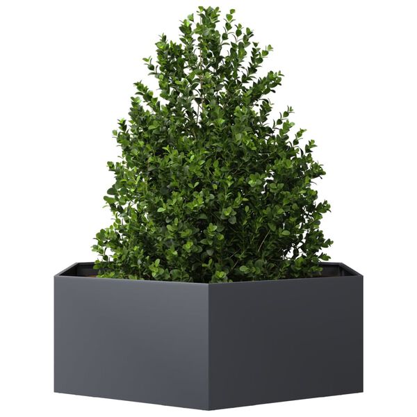 vidaXL Garden Planter Anthracite Hexagon 138x120x45 cm Steel