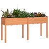 Product Thumbnail Image 3 of 8