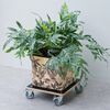Nature Plant Trolley Square 38x38 cm Black Wood