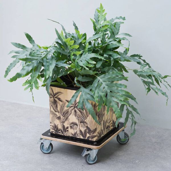 Nature Plant Trolley Square 38x38 cm Black Wood