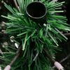 Product Thumbnail Image 7 of 9