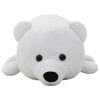 Product Thumbnail Image 3 of 5