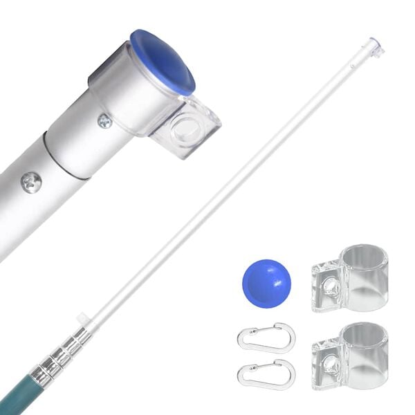 vidaXL Telescopic Flagpole Silver 5.55 m Aluminium