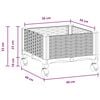 Product Thumbnail Image 8 of 8