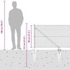 Product Thumbnail Image 16 of 16